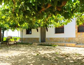 lands for sale in deltebre