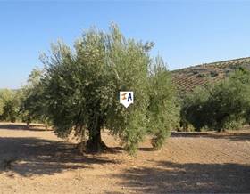 land sale jaen alcaudete by 135,000 eur