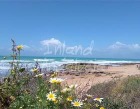 lands for sale in vejer de la frontera