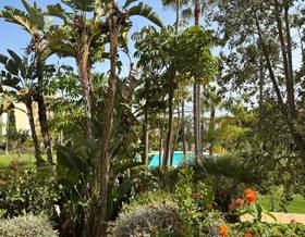 apartments for rent in elviria