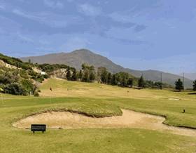 houses for sale in estepona