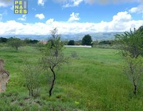 land sale ontinyent pla de chirivia by 120,000 eur