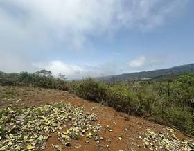 land sale teror el palmar by 25,000 eur