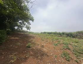 lands for sale in santa maria de guia de gran canaria