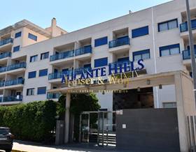 apartments for rent in torrellano