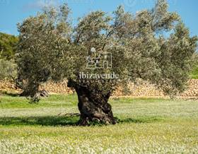 houses for sale in ibiza islas baleares