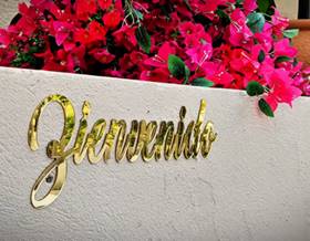 premises for rent in alfaz del pi