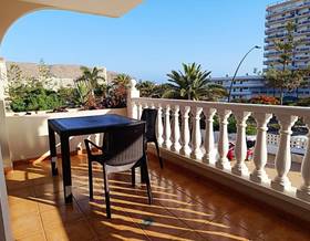 houses for rent in arona