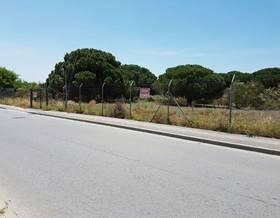 land sale el puerto de santa maria hijuela del tio prieto by 630,000 eur