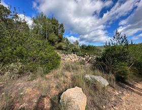lands for sale in sant joan de labritja
