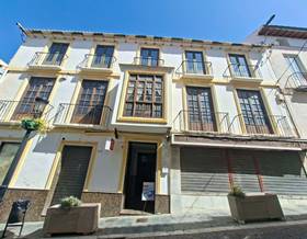 villas for sale in benajarafe