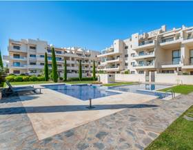 apartments for sale in san miguel de salinas