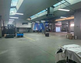 industrial warehouses for rent in coslada