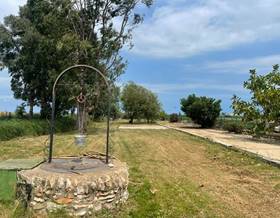 rustic property sale amposta amposta by 148,000 eur