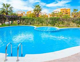 apartment rent punta prima punta prima by 1,500 eur