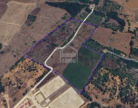 lands for sale in mahon