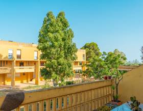 houses for sale in deltebre