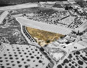 lands for sale in la tercia