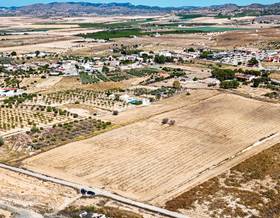 lands for sale in guadalupe, murcia