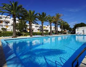 studios for rent in ibiza islas baleares