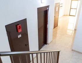apartments for sale in deltebre