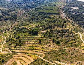 lands for sale in vall d´alba