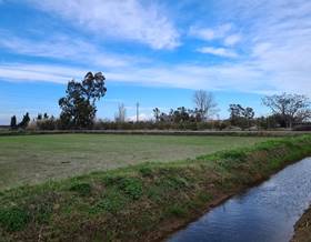 lands for sale in deltebre