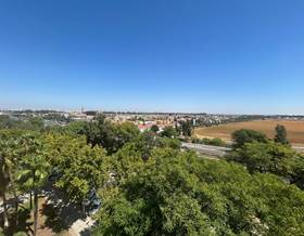 apartments for rent in montequinto