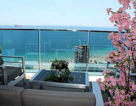 apartment rent benidorm by 2,500 eur