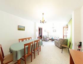 houses for sale in benajarafe