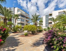 apartments for sale in san miguel de salinas