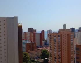 apartments for sale in alicante province