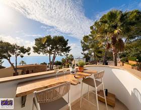 houses for sale in can picafort