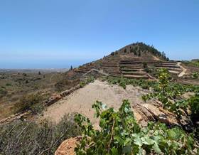lands for sale in adeje, sta. cruz de tenerife