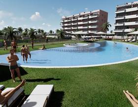 apartments for sale in daya nueva