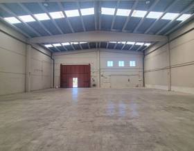 industrial warehouses for rent in riudoms