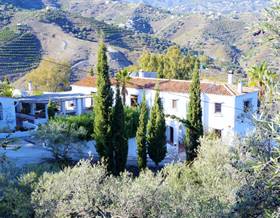 houses for sale in torre del mar