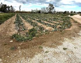 lands for sale in camarles