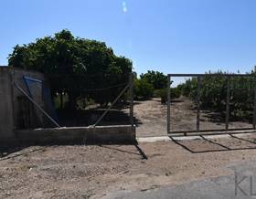 lands for sale in deltebre