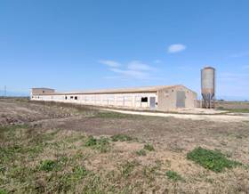 farm house sale sant jaume d´enveja rustica by 150,000 eur