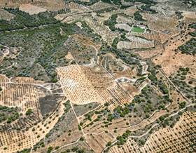 land sale murcia murcia by 430,000 eur