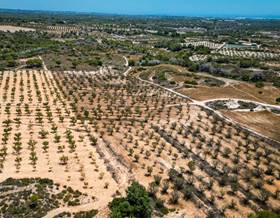 lands for sale in sucina
