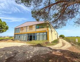 premises sale tarragona deltebre by 350,000 eur