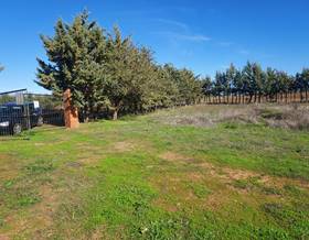 lands for sale in el raposo