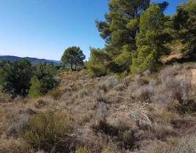 lands for sale in callosa d´en sarria