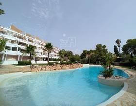 apartments for rent in ibiza