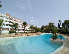 apartments for rent in jesus