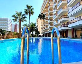 apartments for rent in xeraco
