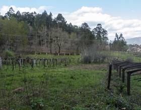 lands for sale in pontevedra province