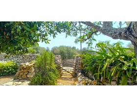 lands for sale in es castell